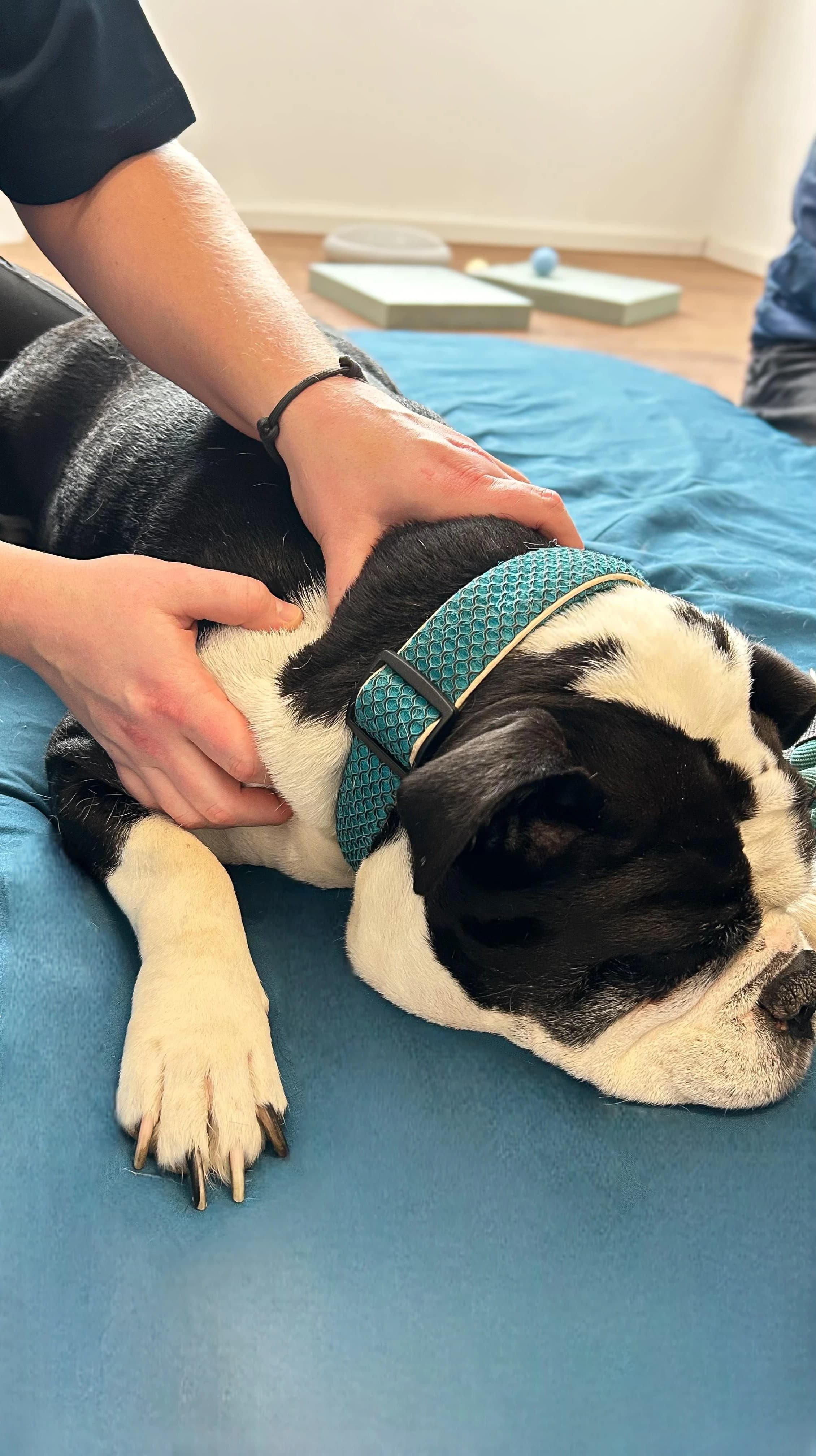 Behandlung Eindruck 2