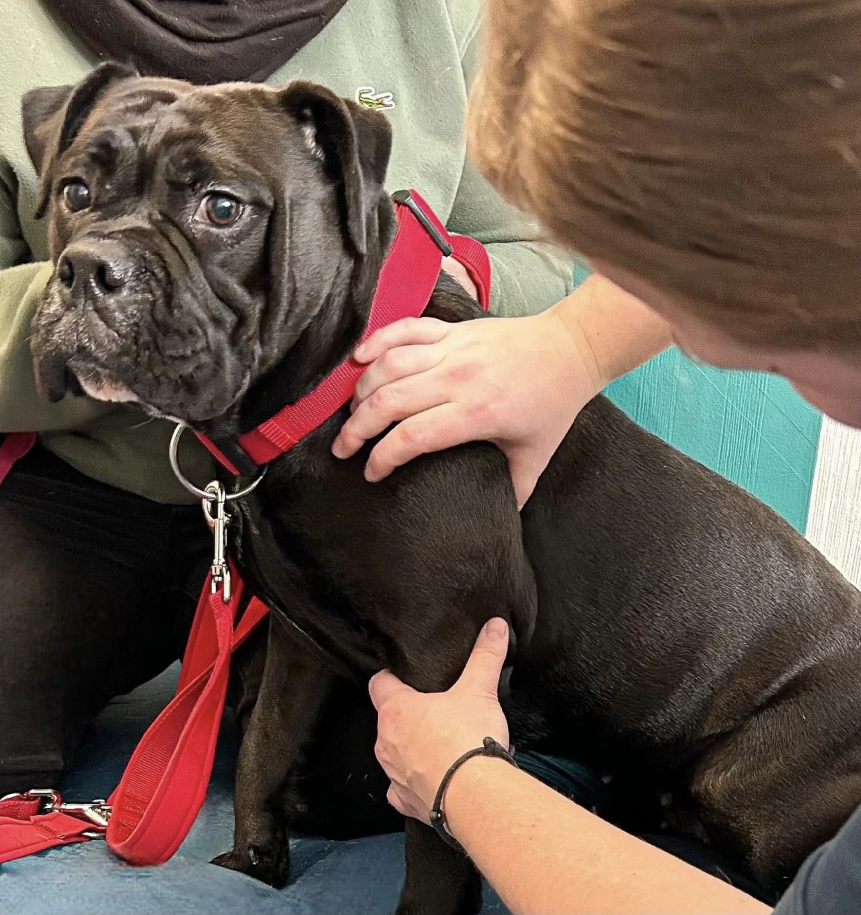 Marie-Theres Stötzel mit Hund