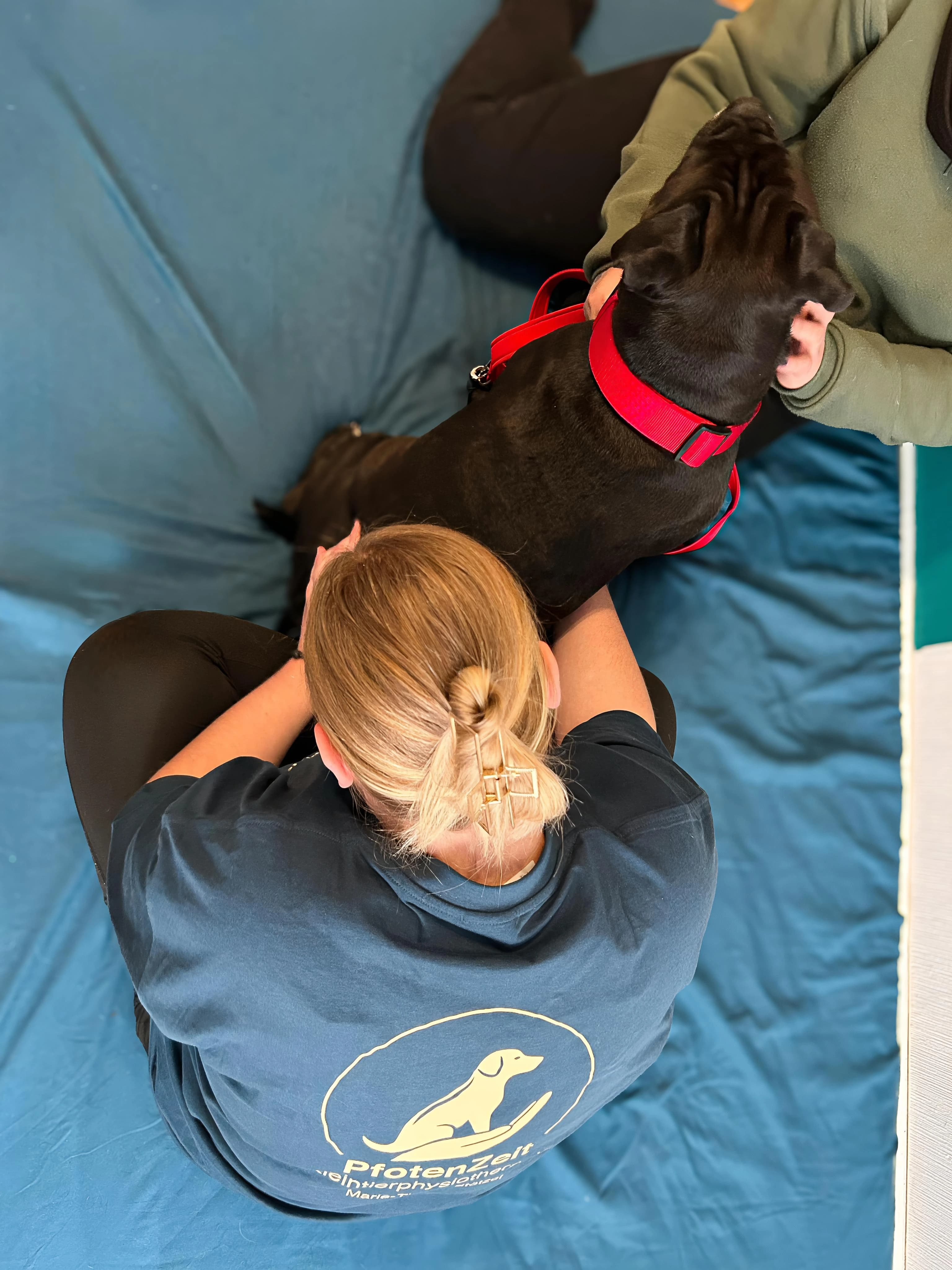 Behandlung Eindruck 5